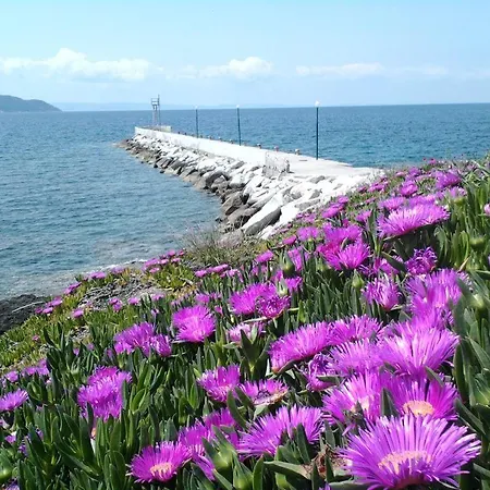 Petunia Gæstehus Neos Marmaras